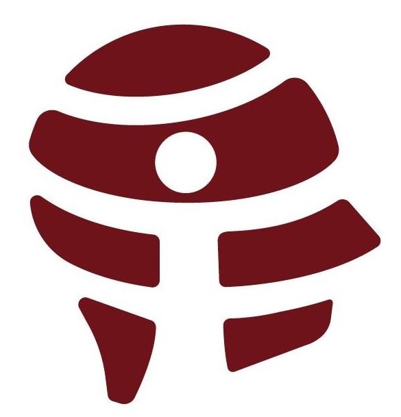 Accountability Lab South Africa Logo