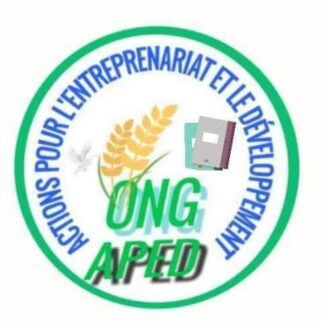 logo Actions Pour l’Entrepreneuriat et le Développement (APED-Niger)