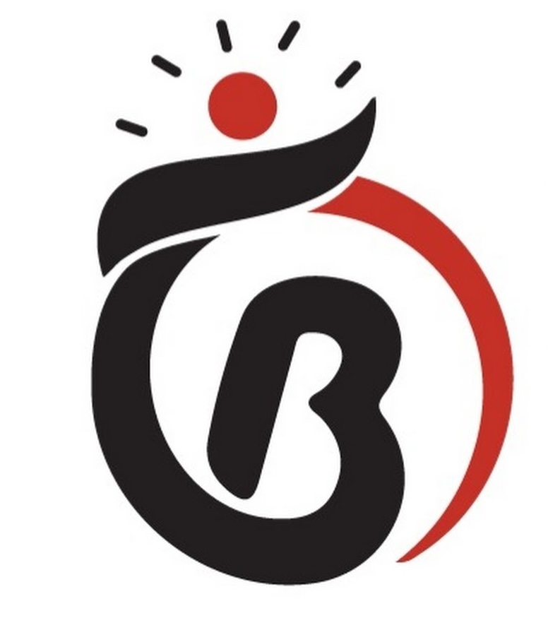 Brain Builders Youth Development Initiative (BBYDI) logo