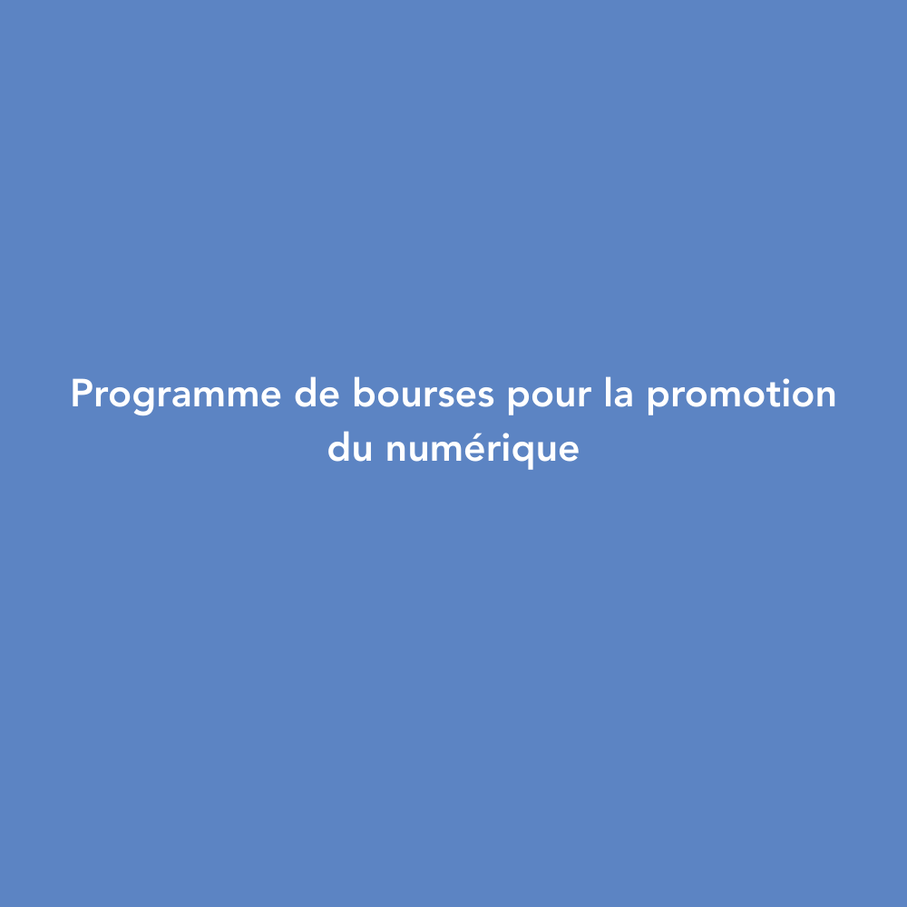 programme de bourses pour la défense des intérêts numériques
